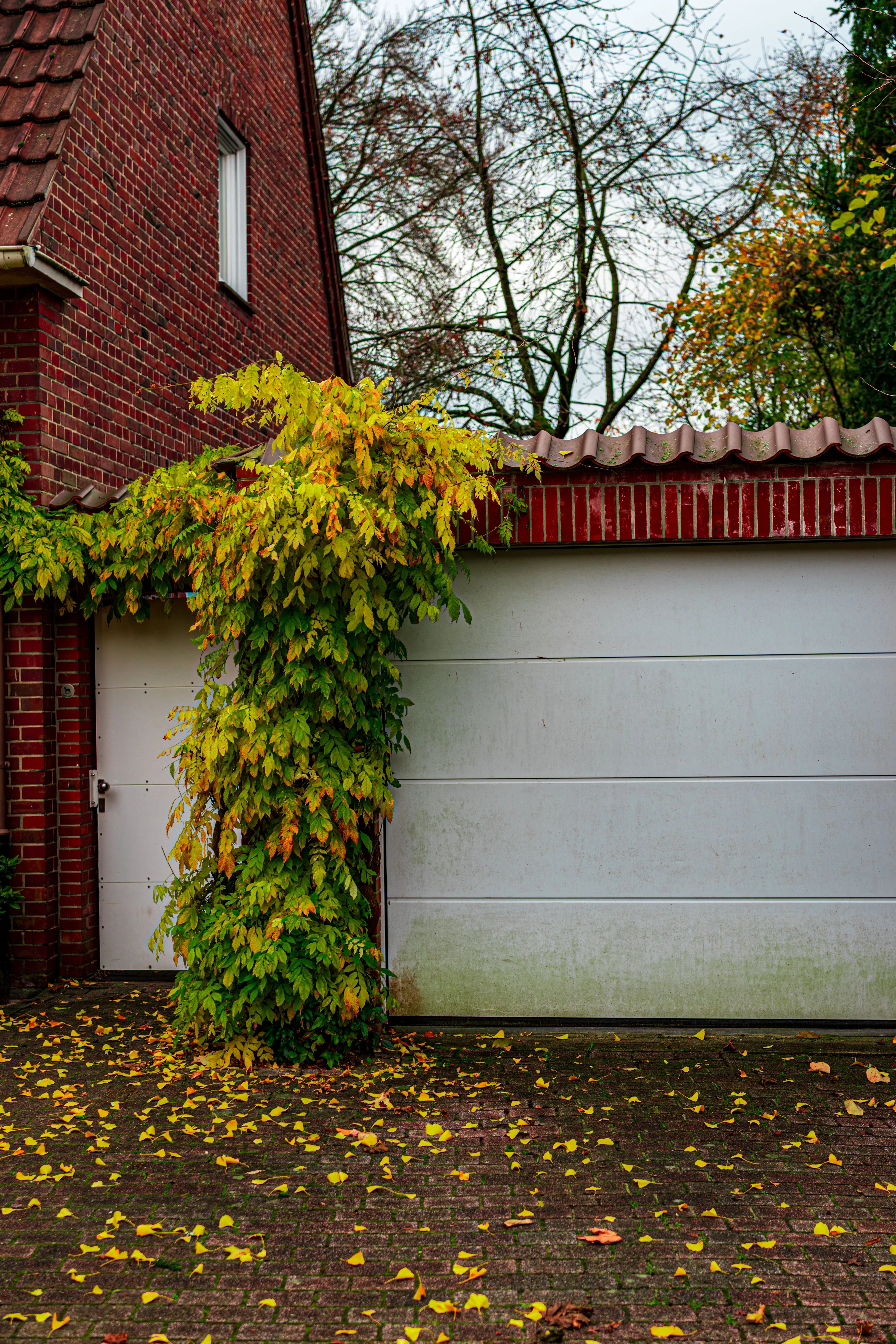 Residential garage door in Saginaw